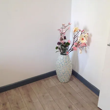 The Chatfield Bs1 1rt Apartment *